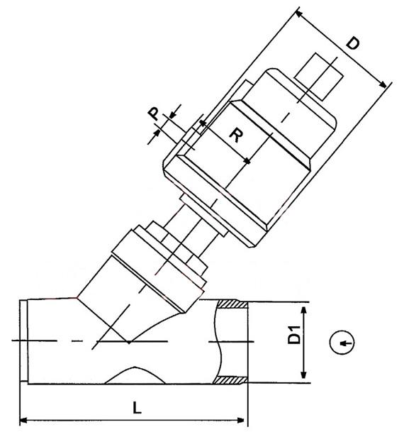 381.jpg